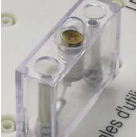 CULOT E10 SUR DIPOLE DE SECURITE