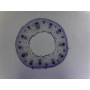 PRÉPARATION MICROSCOPIQUE TIGE DE RENONCULE