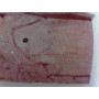 PRÉPARATION MICROSCOPIQUE STIGMATES