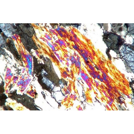 LAME MINCE D'AMPHIBOLITE