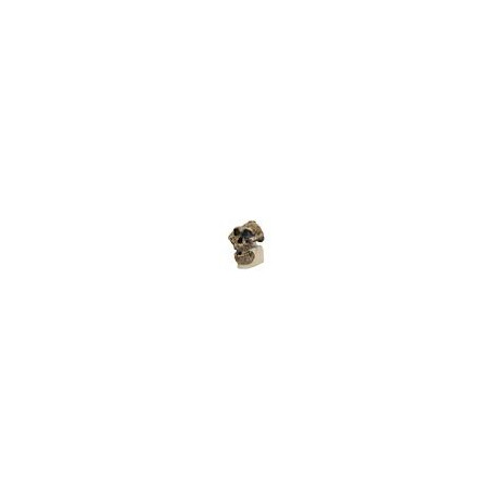 Crâne Australopithecus boiseï skull OH5 (Zinjanthropus)