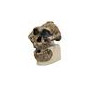 Crâne Australopithecus boiseï skull OH5 (Zinjanthropus)