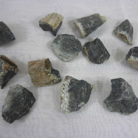ROCHE CHARBON